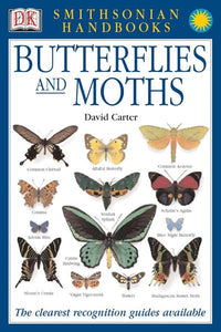 Butterflies & Moths