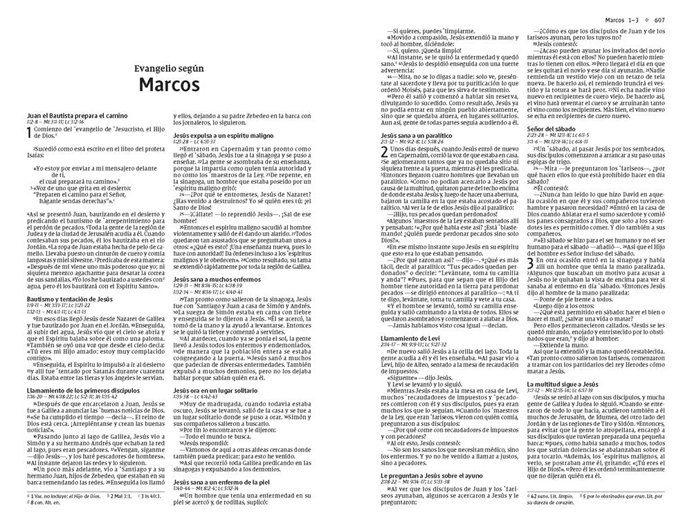 NVI, Santa Biblia, Revisión 2022, Edición económica, Tapa rústica (Spanish Edition)