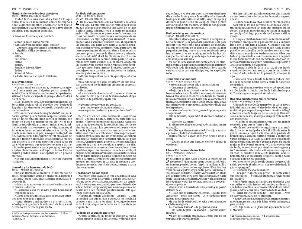 NVI, Santa Biblia, Revisión 2022, Edición económica, Tapa rústica (Spanish Edition)