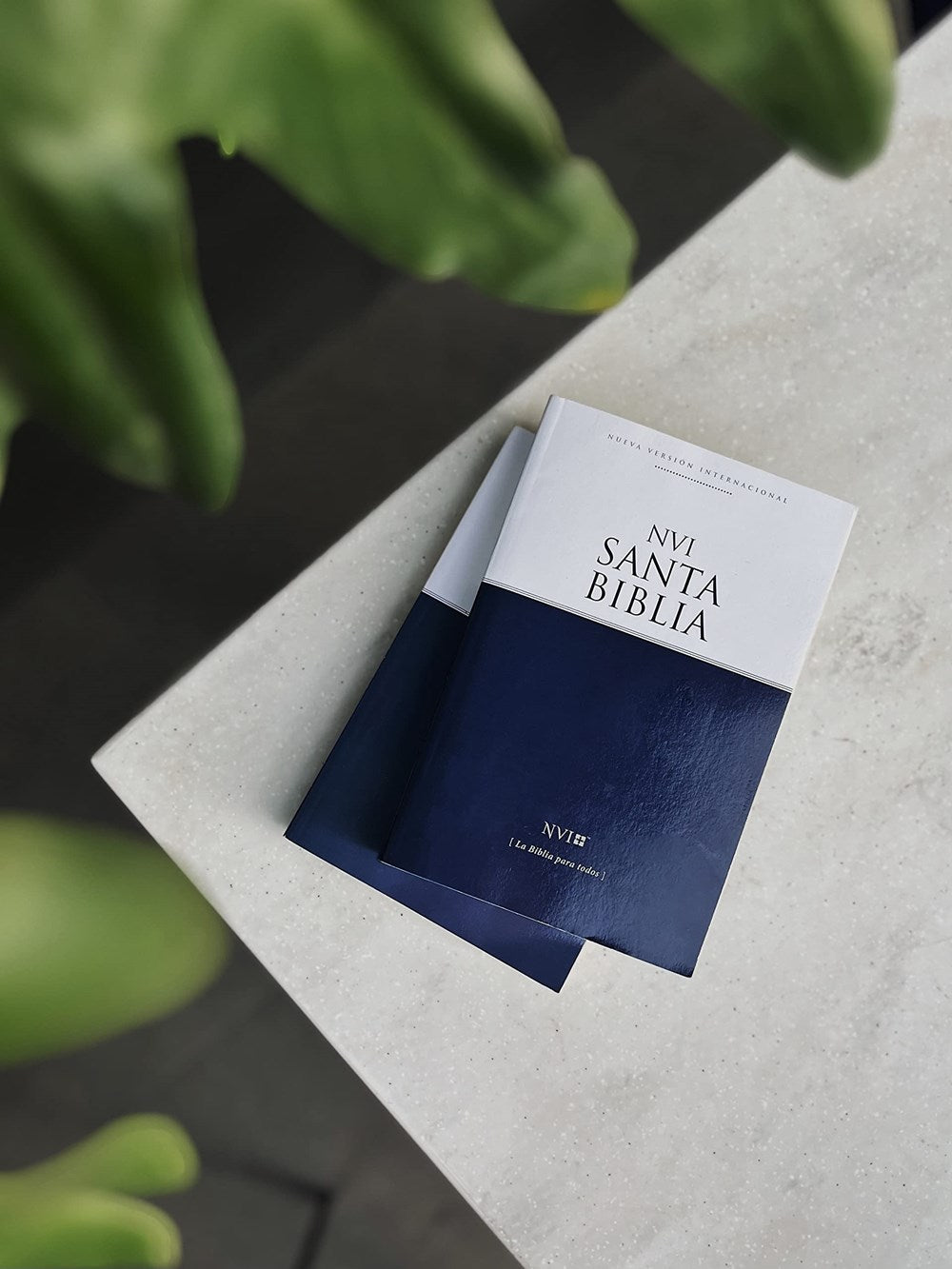 NVI, Santa Biblia, Revisión 2022, Edición económica, Tapa rústica (Spanish Edition)