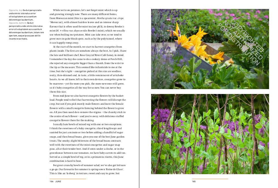 A Year in the Edible Garden