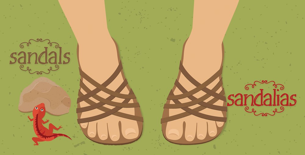 Guadalupe: First Words / Primeras palabras