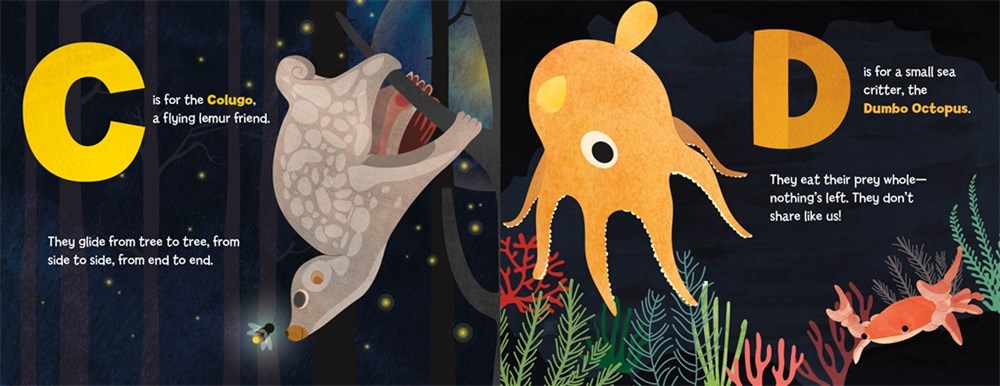 A Is for Axolotl: An Unusual Animal ABC