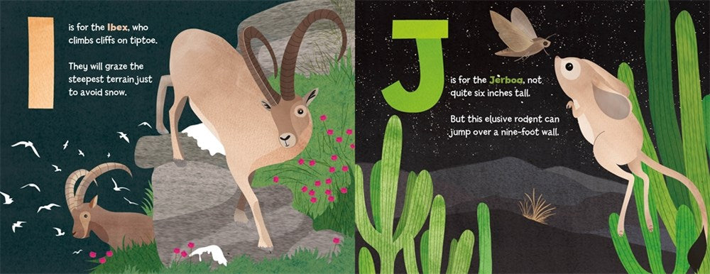 A Is for Axolotl: An Unusual Animal ABC