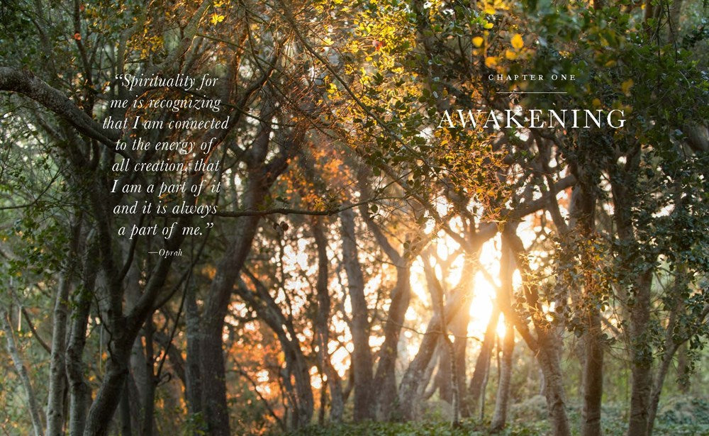 The Wisdom of Sundays