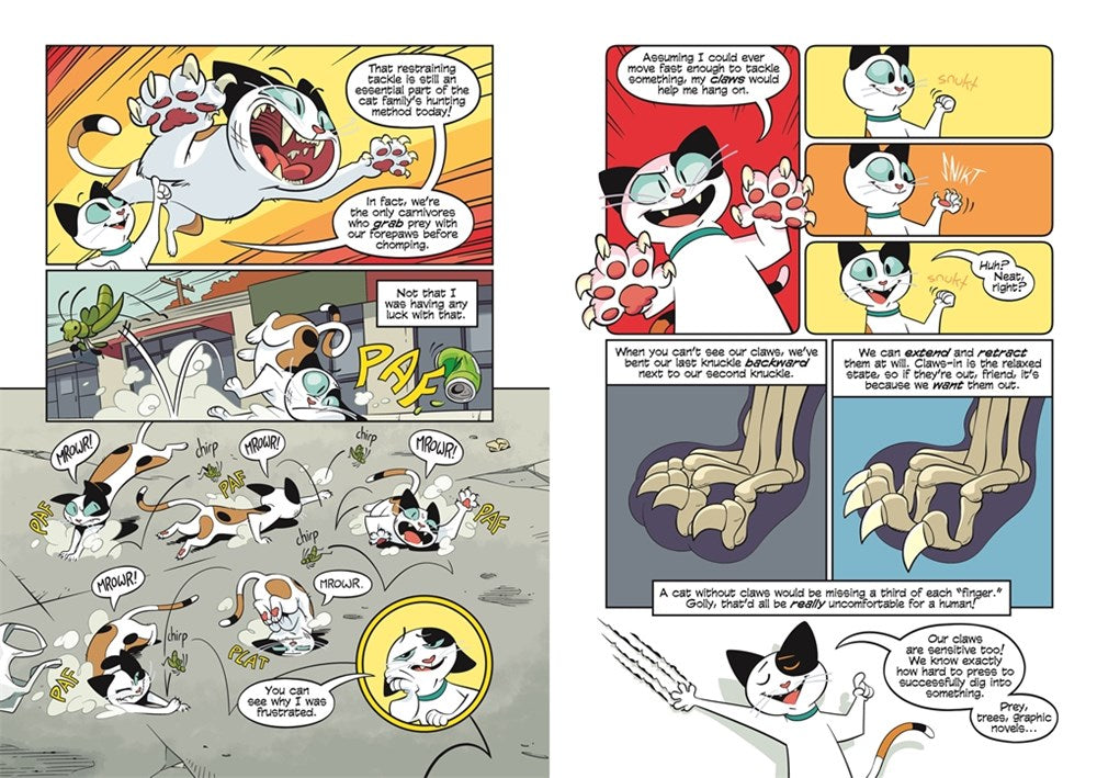 Science Comics: Cats