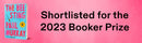 The Bee Sting: A Novel