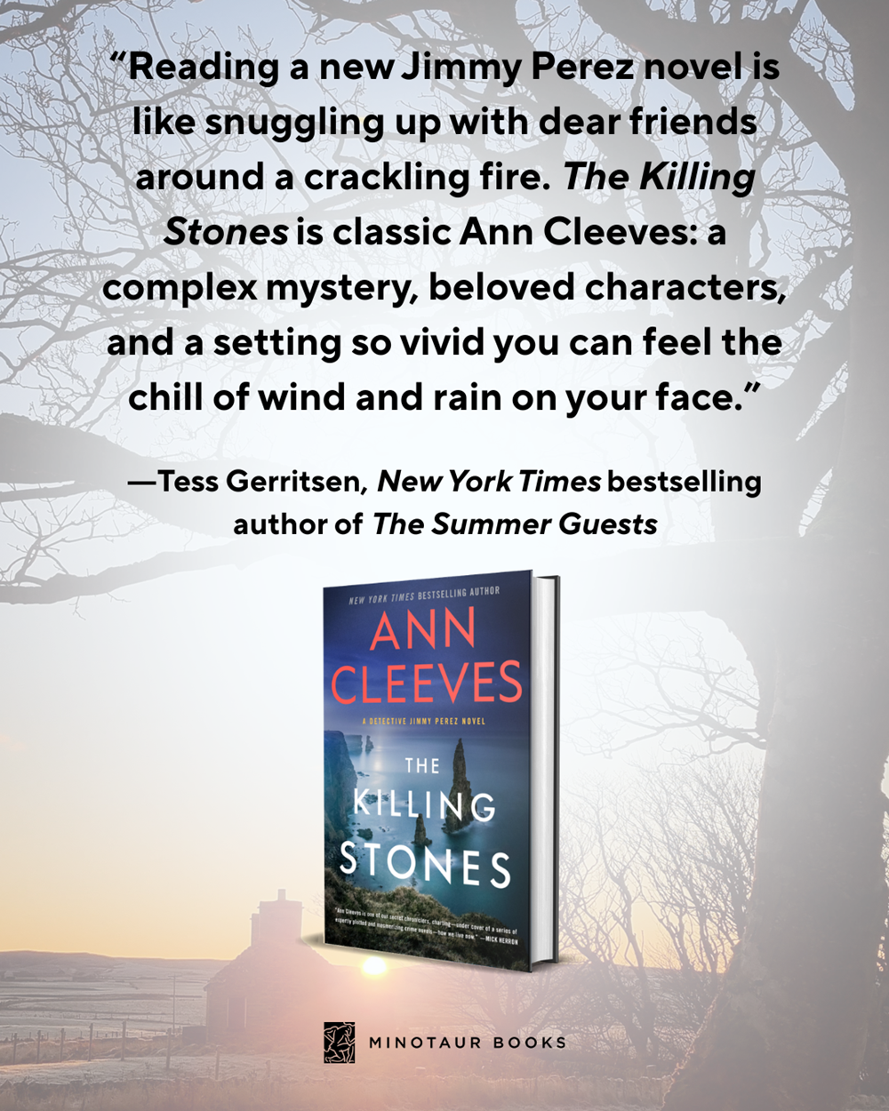 The Killing Stones: A Detective Jimmy Perez Novel (Jimmy Perez and Willow Reeves, 1)
