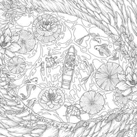 Mythographic Color and Discover: Dragonspell: An Artist's Coloring Book of Magical Realms and Epic Journeys
