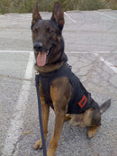 No Ordinary Dog: My Partner from the SEAL Teams to the Bin Laden Raid
