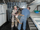 No Ordinary Dog: My Partner from the SEAL Teams to the Bin Laden Raid