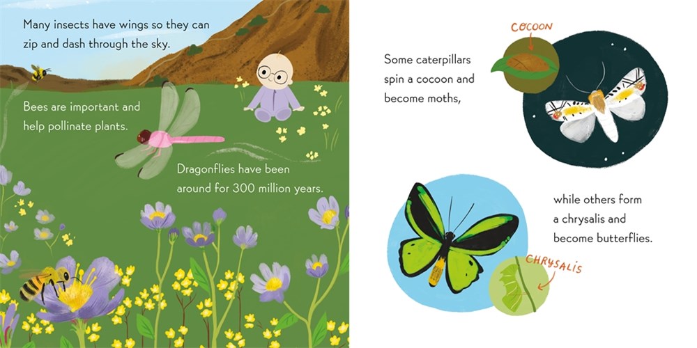 Nerdy Babies: Insects