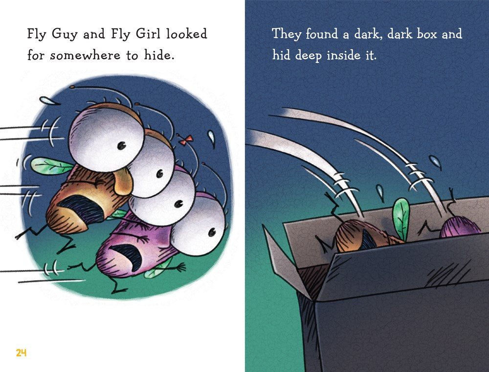 Fly Guy and Fly Girl: Night Fright