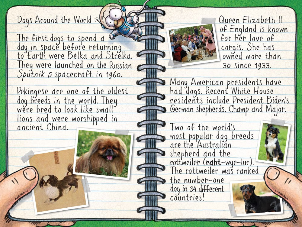 Fly Guy Presents: Dogs