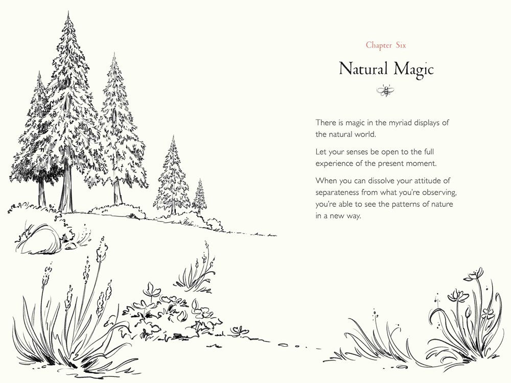 A Walk in the Wood: Meditations on Mindfulness with a Bear Named Pooh
