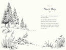 A Walk in the Wood: Meditations on Mindfulness with a Bear Named Pooh