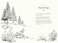 A Walk in the Wood: Meditations on Mindfulness with a Bear Named Pooh
