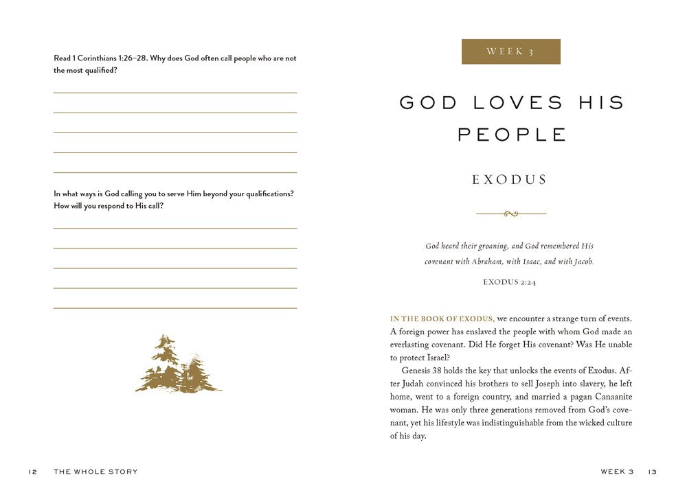 The Whole Story: A 52-Week Devotional Journey Through Every Book of the Bible - The Perfect Christian Christmas Gift