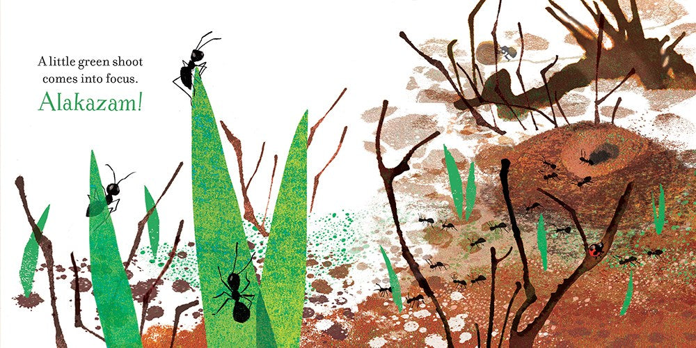 Abracadabra, It's Spring!