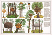 Trees
