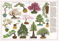 Trees