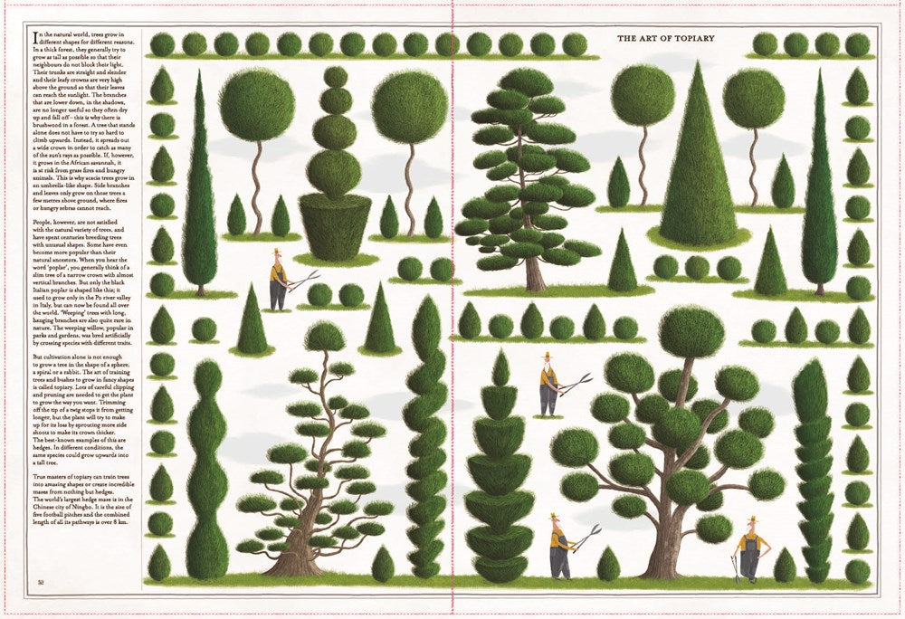 Trees