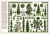 Trees