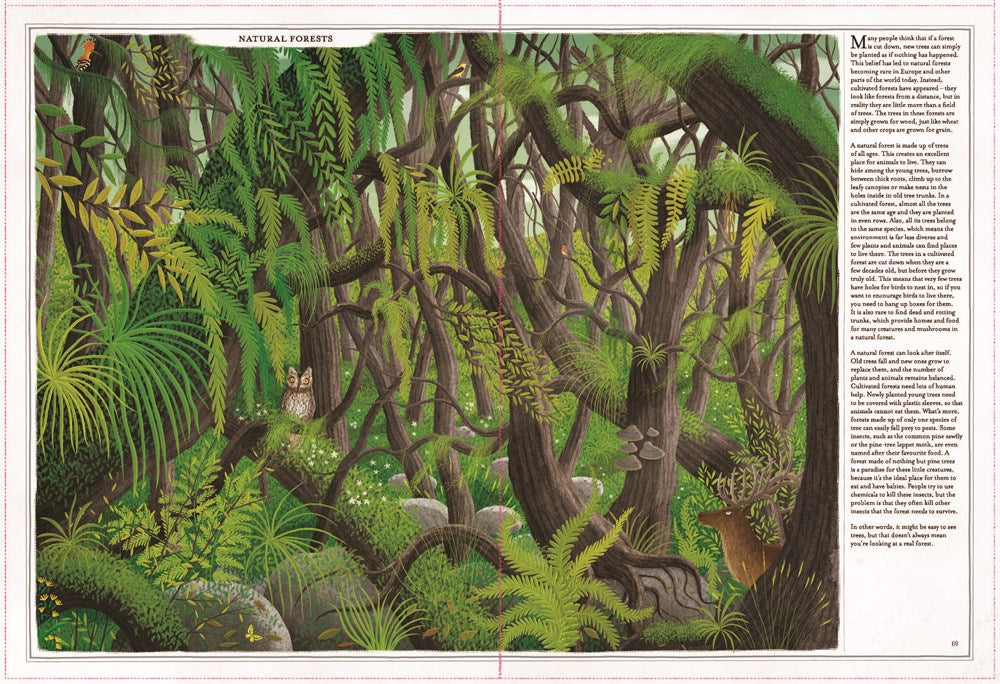 Trees