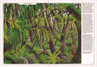 Trees