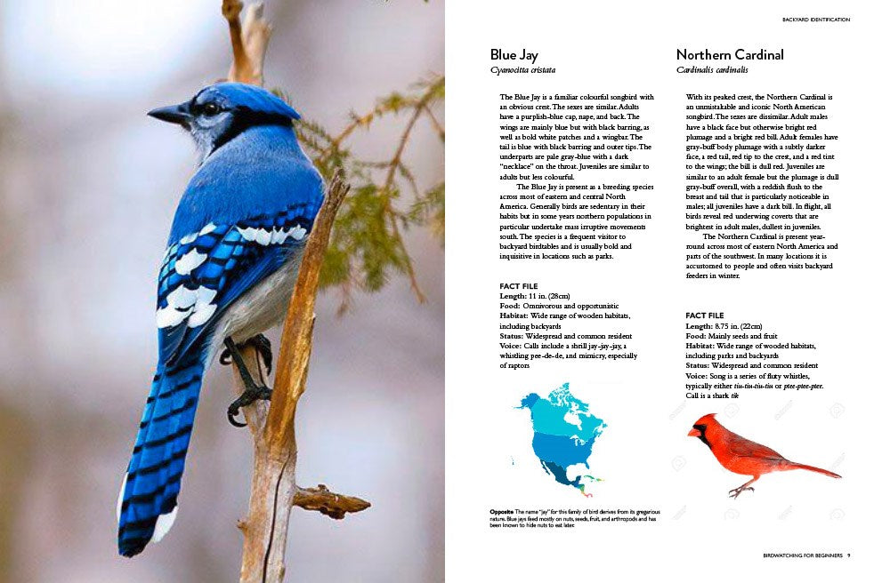 The Backyard Birdwatcher's Bible: Birds, Behaviors, Habitats, Identification, Art & Other Home Crafts (The Backyard Naturalist Series)