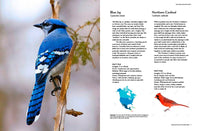 The Backyard Birdwatcher's Bible: Birds, Behaviors, Habitats, Identification, Art & Other Home Crafts (The Backyard Naturalist Series)