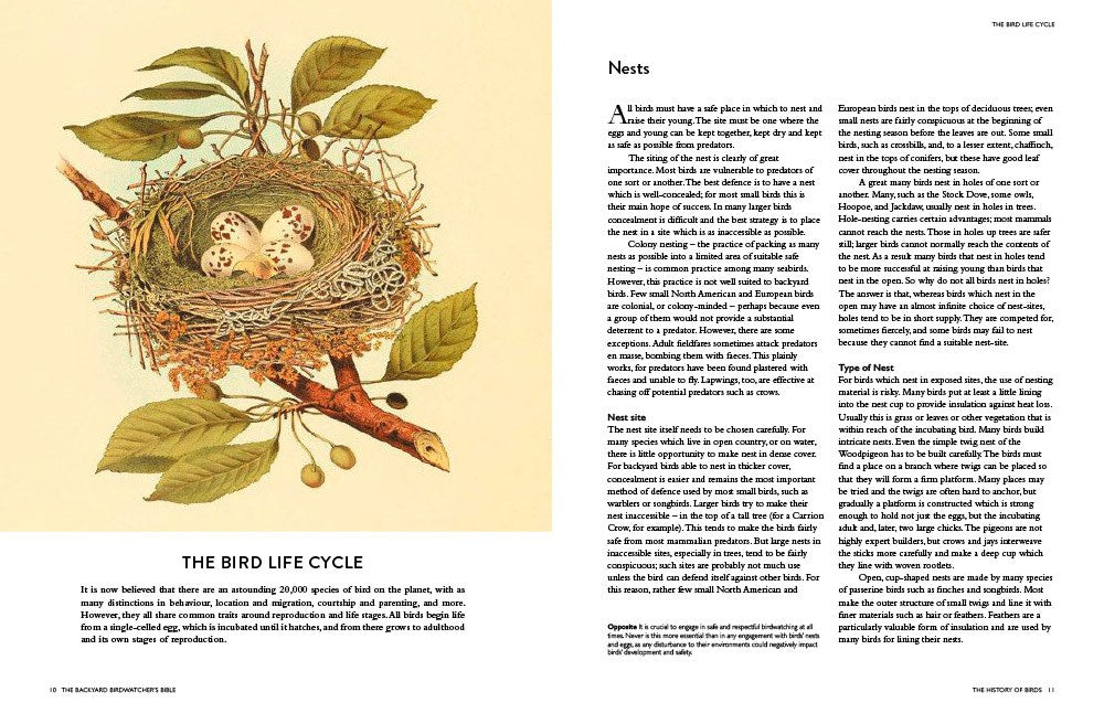 The Backyard Birdwatcher's Bible: Birds, Behaviors, Habitats, Identification, Art & Other Home Crafts (The Backyard Naturalist Series)