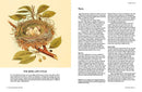 The Backyard Birdwatcher's Bible: Birds, Behaviors, Habitats, Identification, Art & Other Home Crafts (The Backyard Naturalist Series)