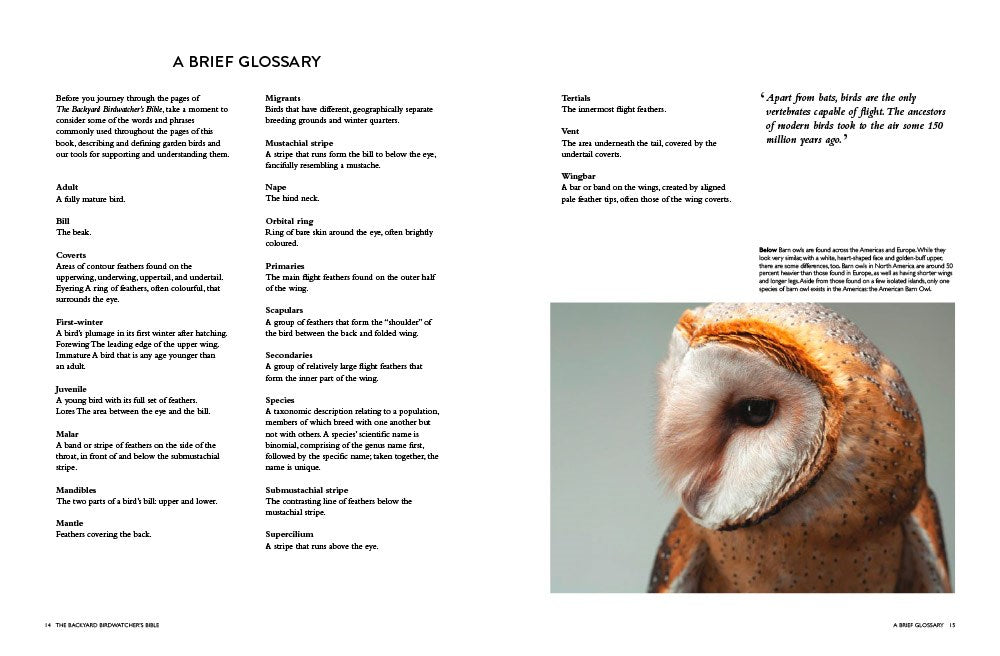 The Backyard Birdwatcher's Bible: Birds, Behaviors, Habitats, Identification, Art & Other Home Crafts (The Backyard Naturalist Series)