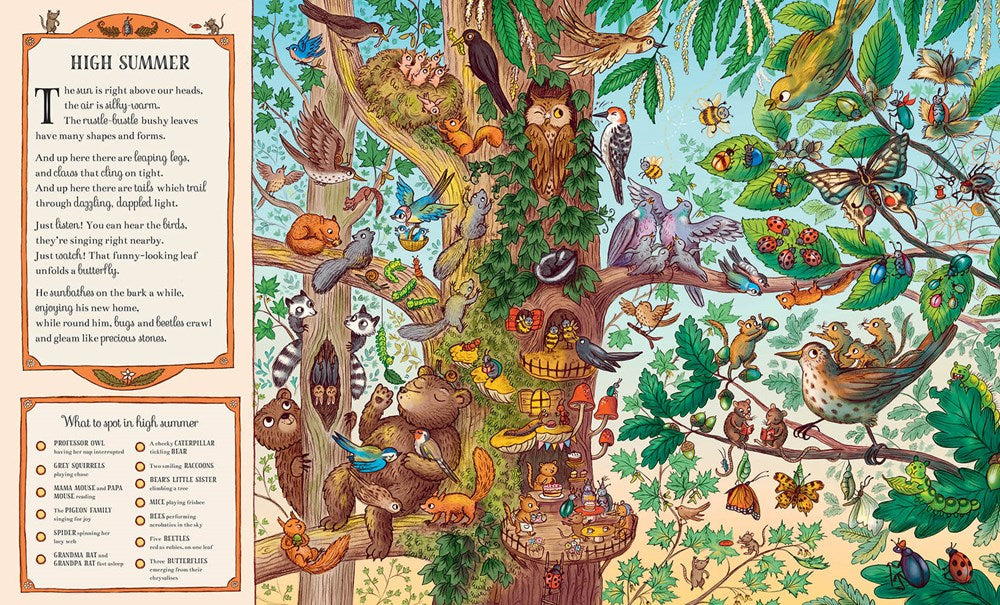 If You Go Down to the Woods Today: A Search and Find Adventure (Brown Bear Wood)