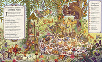 If You Go Down to the Woods Today: A Search and Find Adventure (Brown Bear Wood)