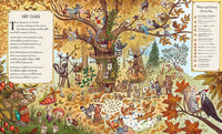 If You Go Down to the Woods Today: A Search and Find Adventure (Brown Bear Wood)