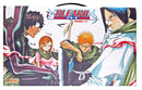 Bleach Box Set (Vol. 1-21)