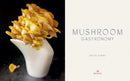 Mushroom Gastronomy: The Art of Cooking with Mushrooms