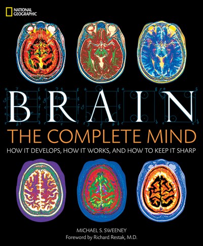 Brain