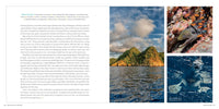 100 Dives of a Lifetime: The World's Ultimate Underwater Destinations (100 of a Lifetime)