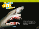 National Geographic Readers: Sharks! (Science Reader Level 2)