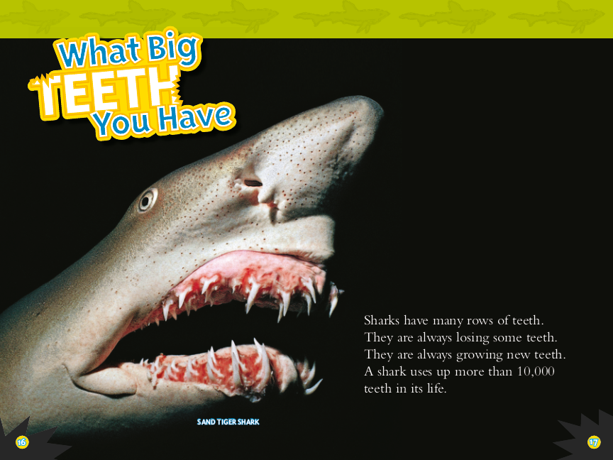 National Geographic Readers: Sharks! (Science Reader Level 2)