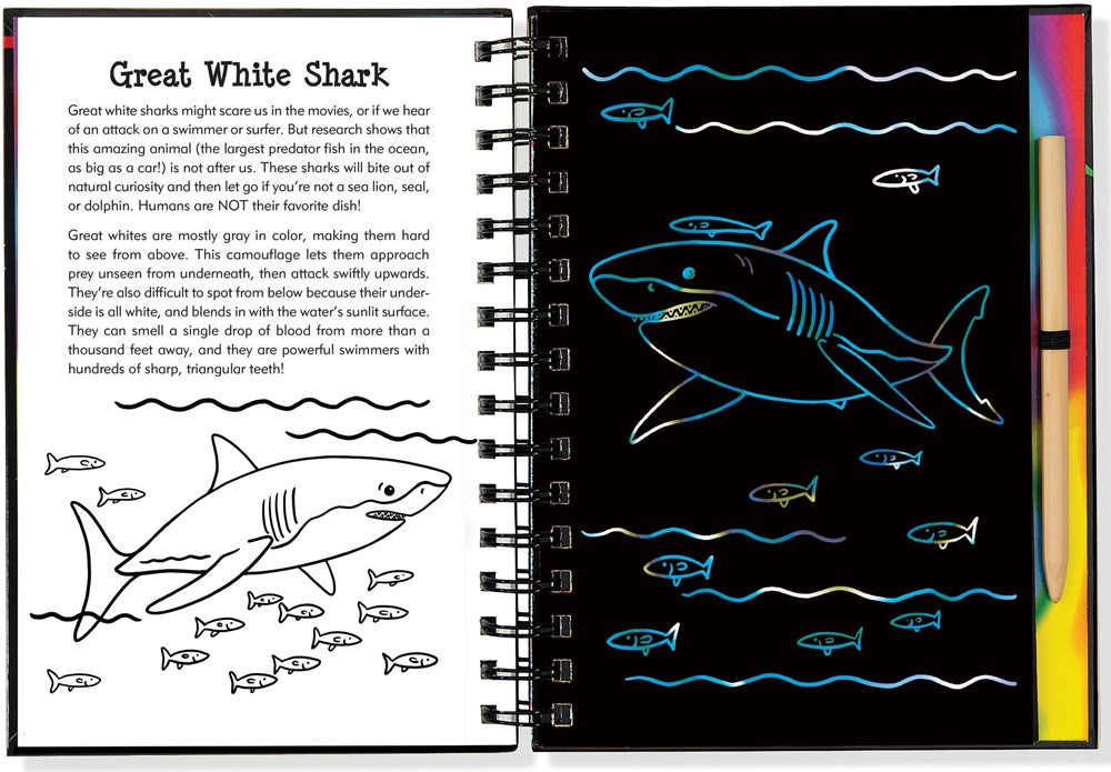 Scratch & Sketch Sharks (Trace Along)