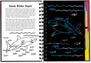 Scratch & Sketch Sharks (Trace Along)