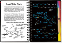 Scratch & Sketch Sharks (Trace Along)