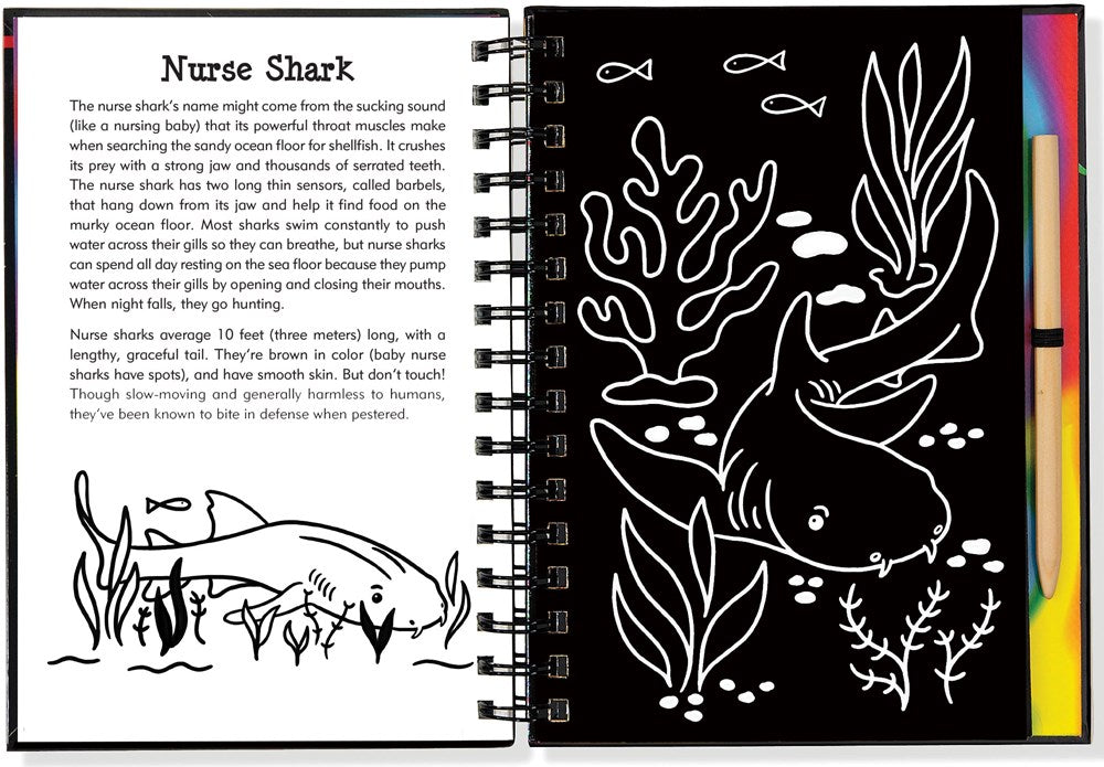 Scratch & Sketch Sharks (Trace Along)