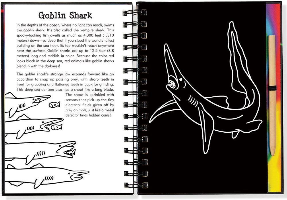 Scratch & Sketch Sharks (Trace Along)