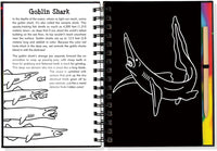 Scratch & Sketch Sharks (Trace Along)