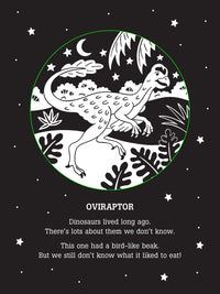 Dinos After Dark Bedtime Shadow Book
